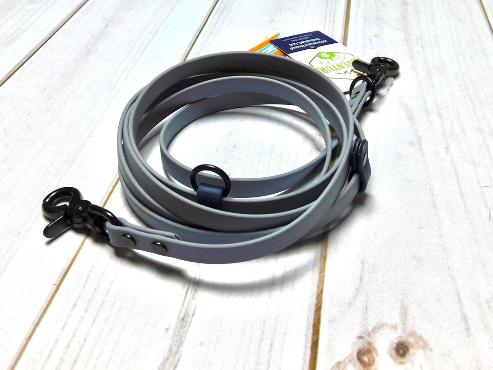 Thumbnail: Trailrunner Leash