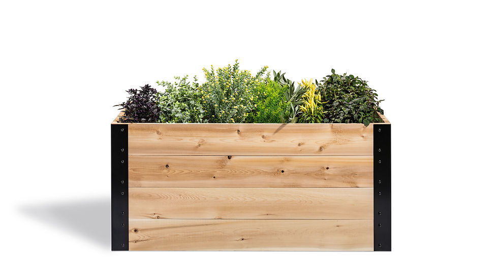 Thumbnail: 36"x 48" Garden Box (22"High)