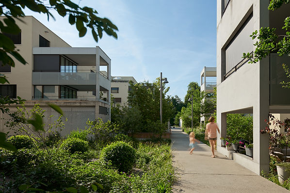 220517_Cham_Obermuehleweid_6251_web.jpg