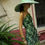 Miniatura: SHE'S A LADY Dress • Garden Version