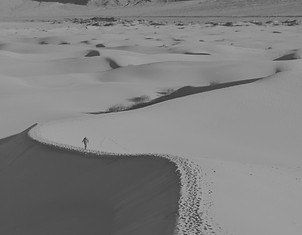 Instagram_ _sjmcreative_edited.jpg