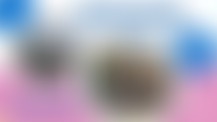 blue pink and white graphic with pictures of store fronts