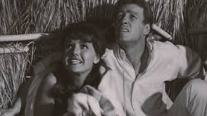 Gilligan's Island of Mystery!: The Professor and Mary Ann