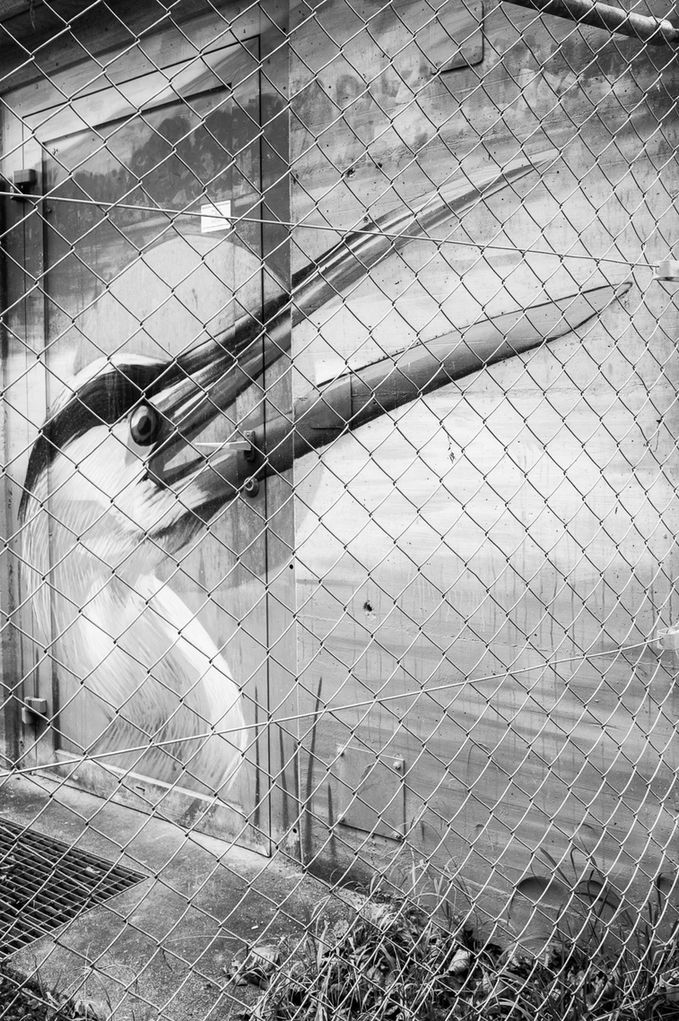 Strukturen ist eine monochrome, fortlaufende fotografische Serie über gesetzte Ordnungen im Raum, zwischen Minimalismus, Architektur und Landschaft.