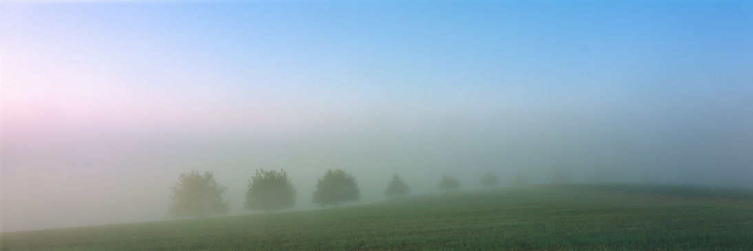 ENTSCHWINDEN Nebel Wald minimalistisch analog Fine Art