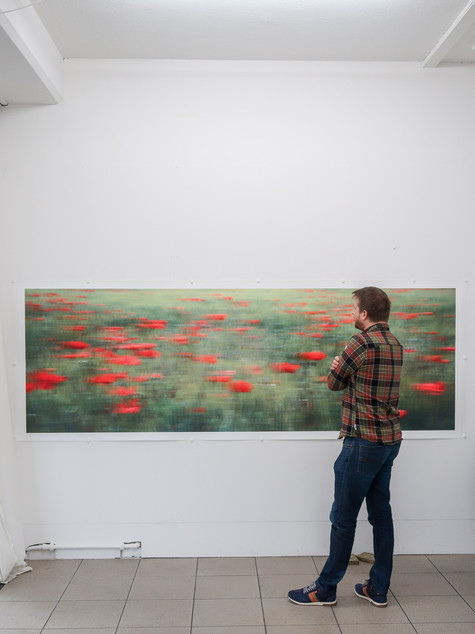 Fine Art Print 300 x 100 cm: Fliegender Mohn