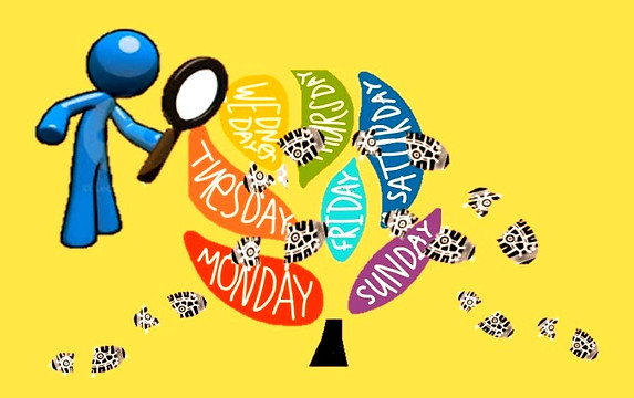 Study Footprint_edited.jpg