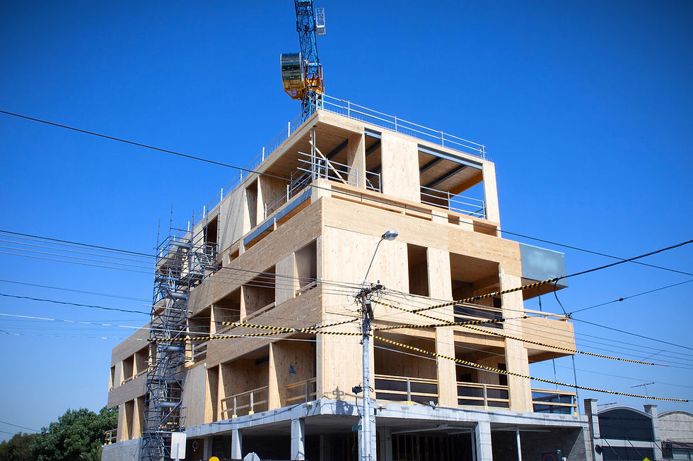 CLT PANEL HOUSE