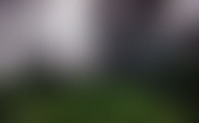 REGRAS DE VIDA PARA DAR UMA FODA SOBRE