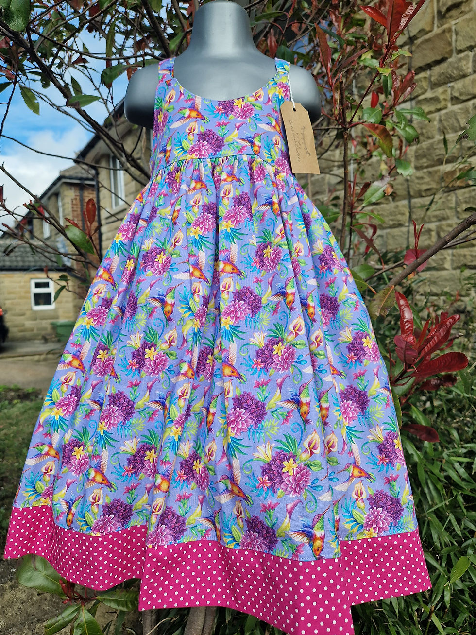 Beautiful Hummingbird Dress - (4 Years)