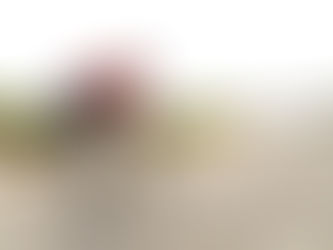 "Faz bem ao teu corpo, para que a alma tenha o prazer de nele habitar"