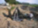 Energie_20070809_FW EIS.JPG