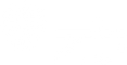ZT_weiss.png