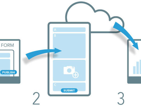 Regulatory Compliance and Environmental Considerations: