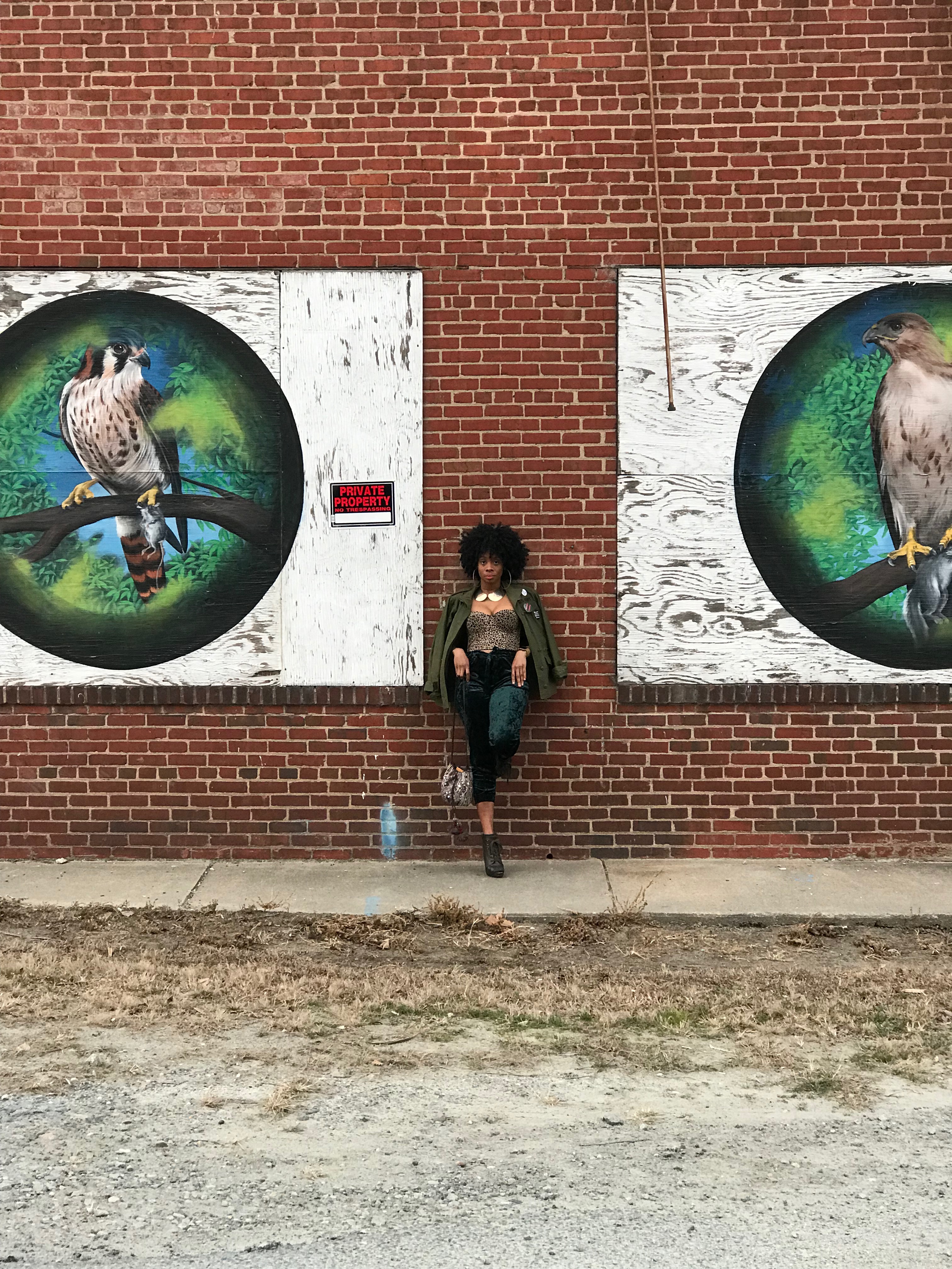 Free Birds