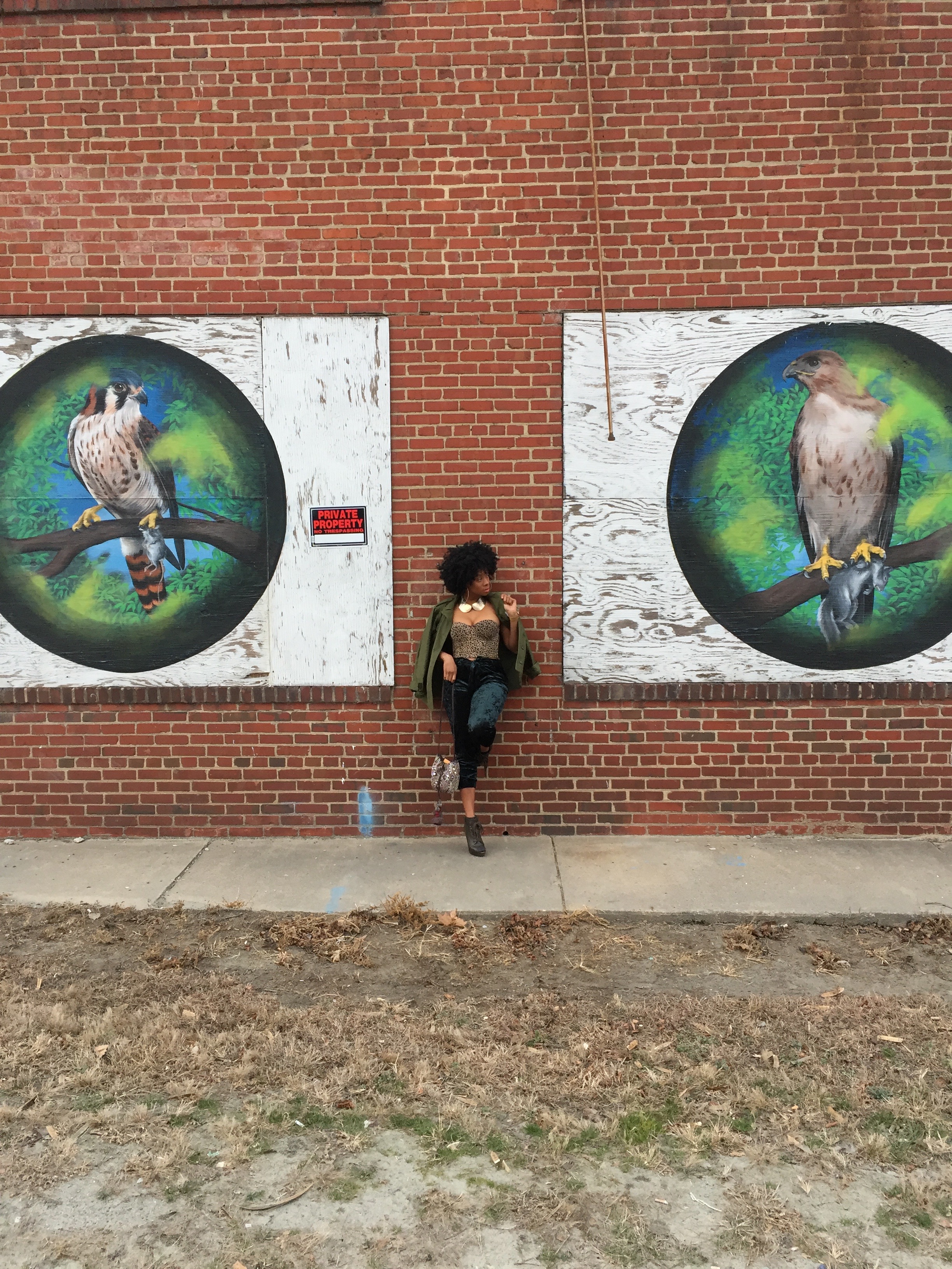 Free Birds