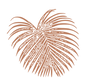 Copy of Verve leaf transparent sienna.png