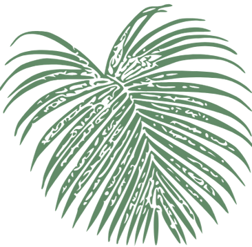 Verve leaf transparent green (3)_edited_