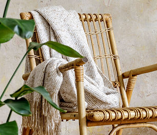 AdobeStock_362001095_edited_edited.jpg