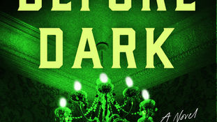 Green book cover with neon title Home Before Dark by Riley Sager, a glowing chandelier, and eerie shadows.