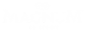 Houston Ensemble Magnum Ice Cream