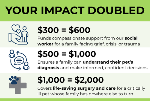 All Our Pets (2).png