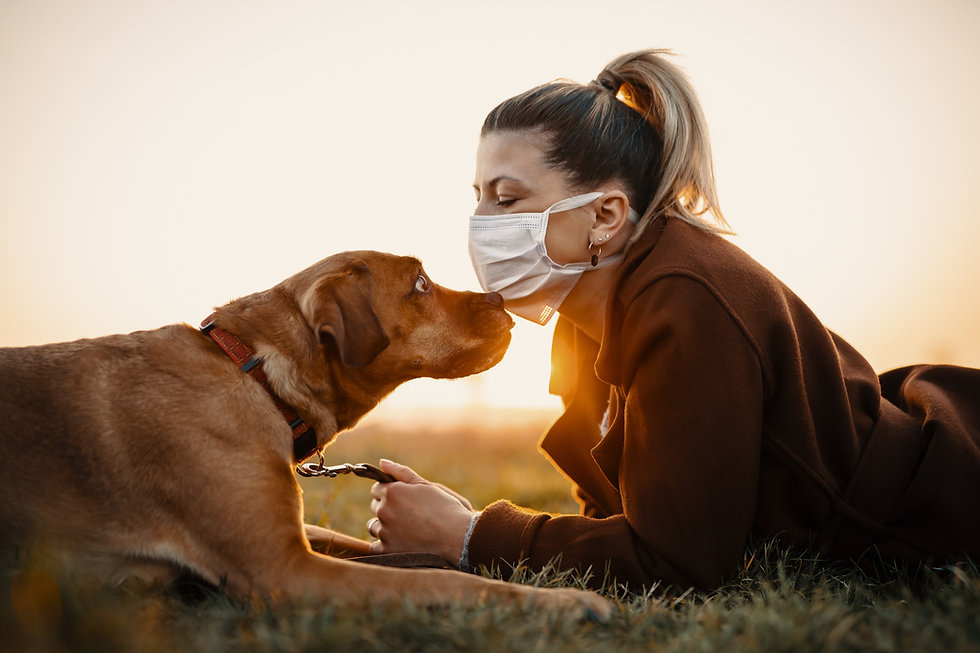 AdobeStock_331534612.jpeg