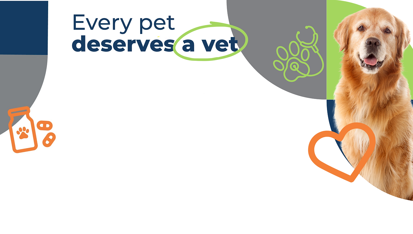 Every Pet Campaign Header.png