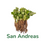 Miniature : Plant Frais-San Andreas-Viveros California