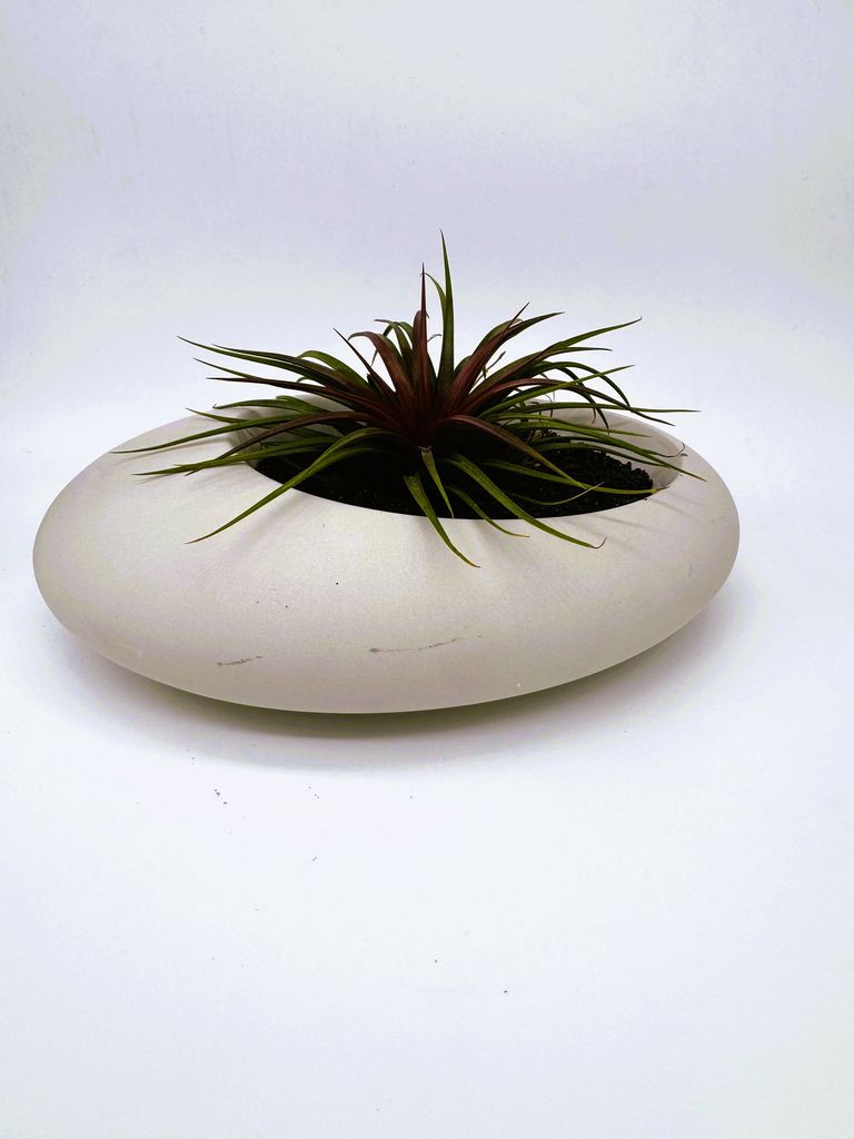 Thumbnail: StoneNest - (Asymmetrical Concrete Planter (Includes Plant)