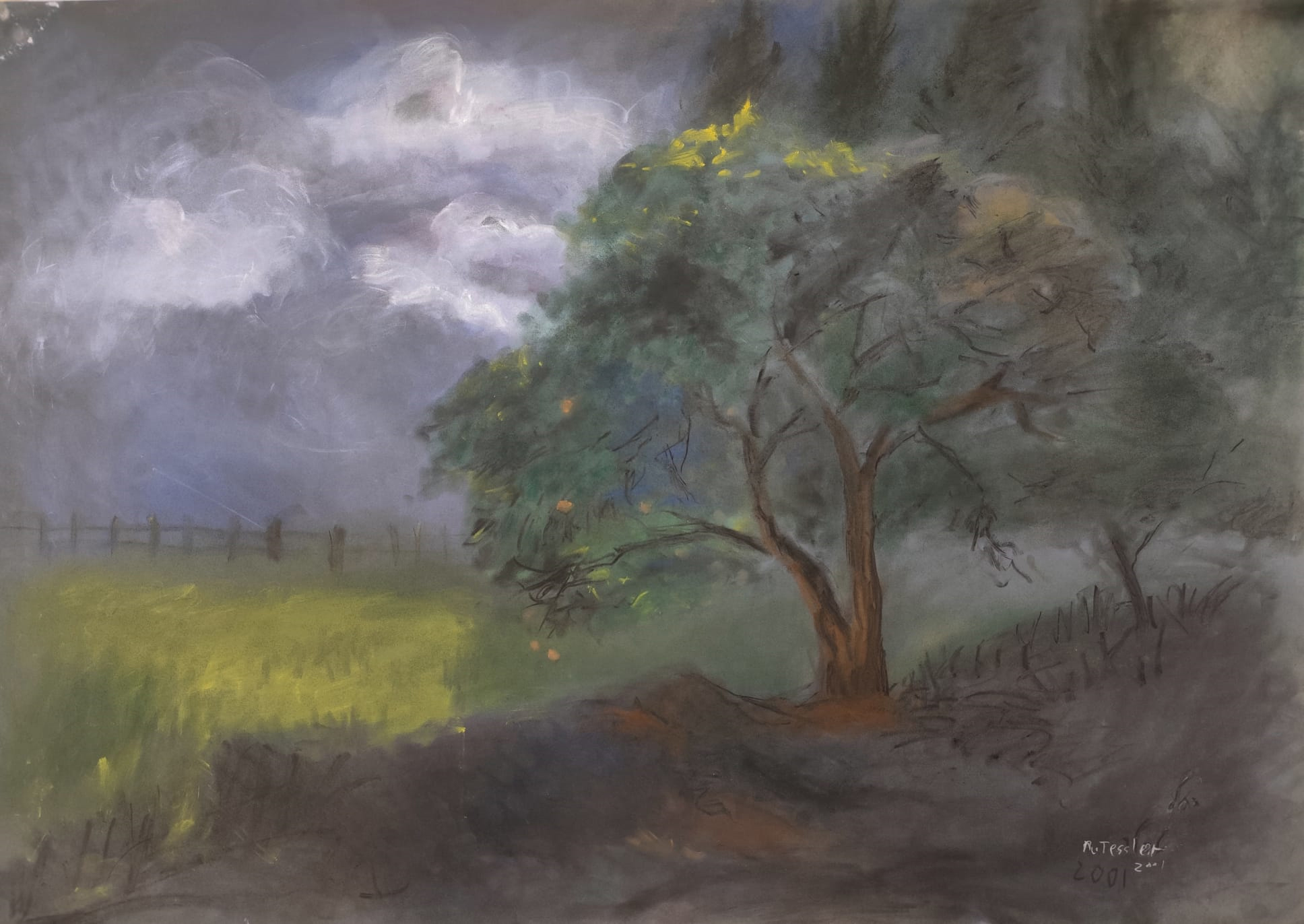 רחלי טסלר | field