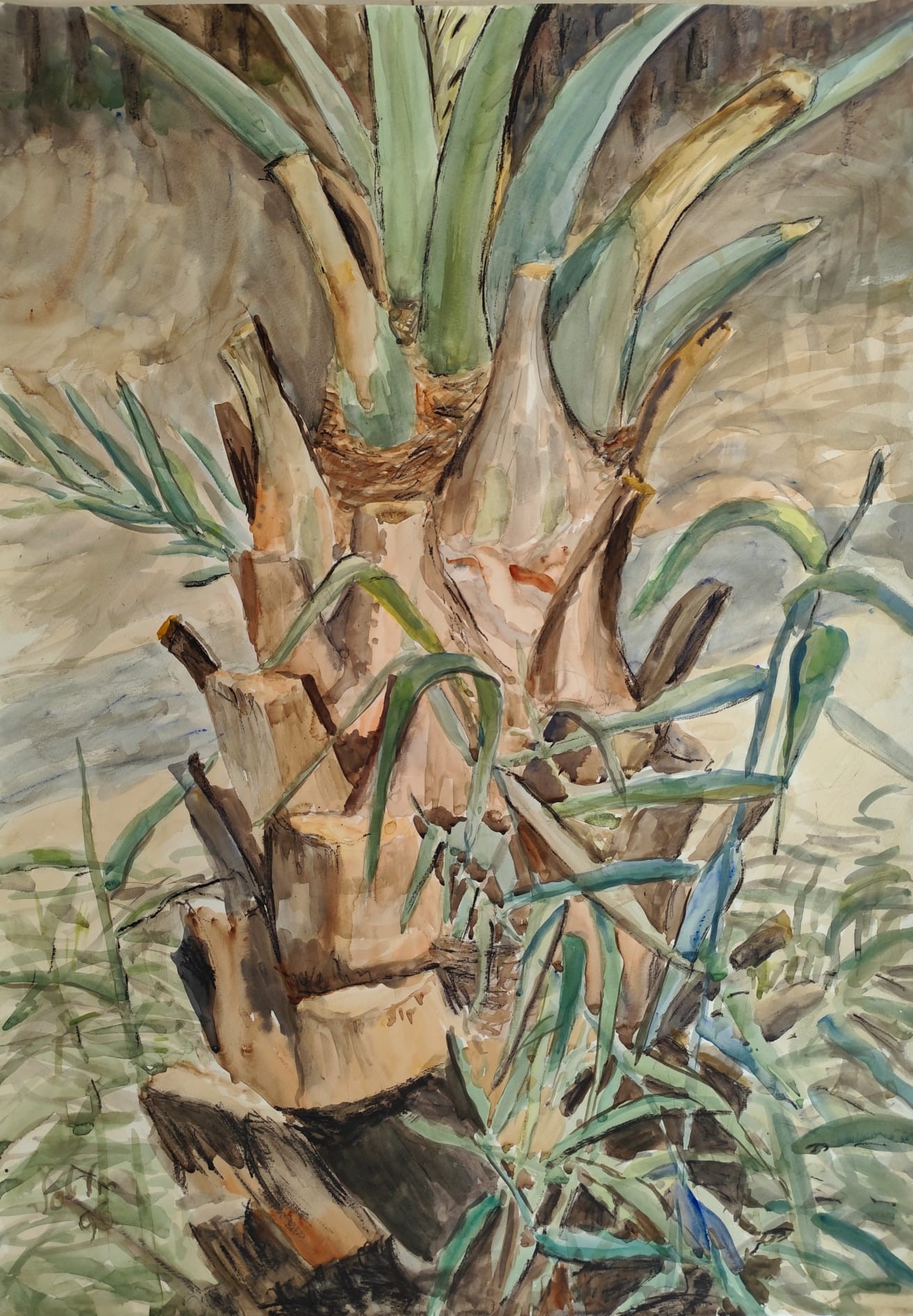 רחלי טסלר | Palm tree