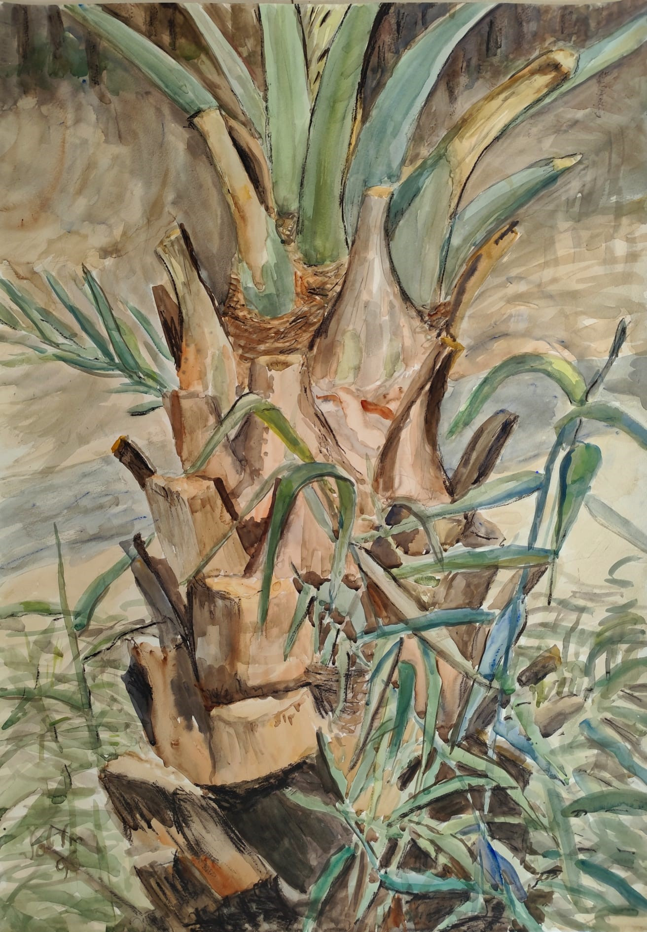 רחלי טסלר | Palm tree