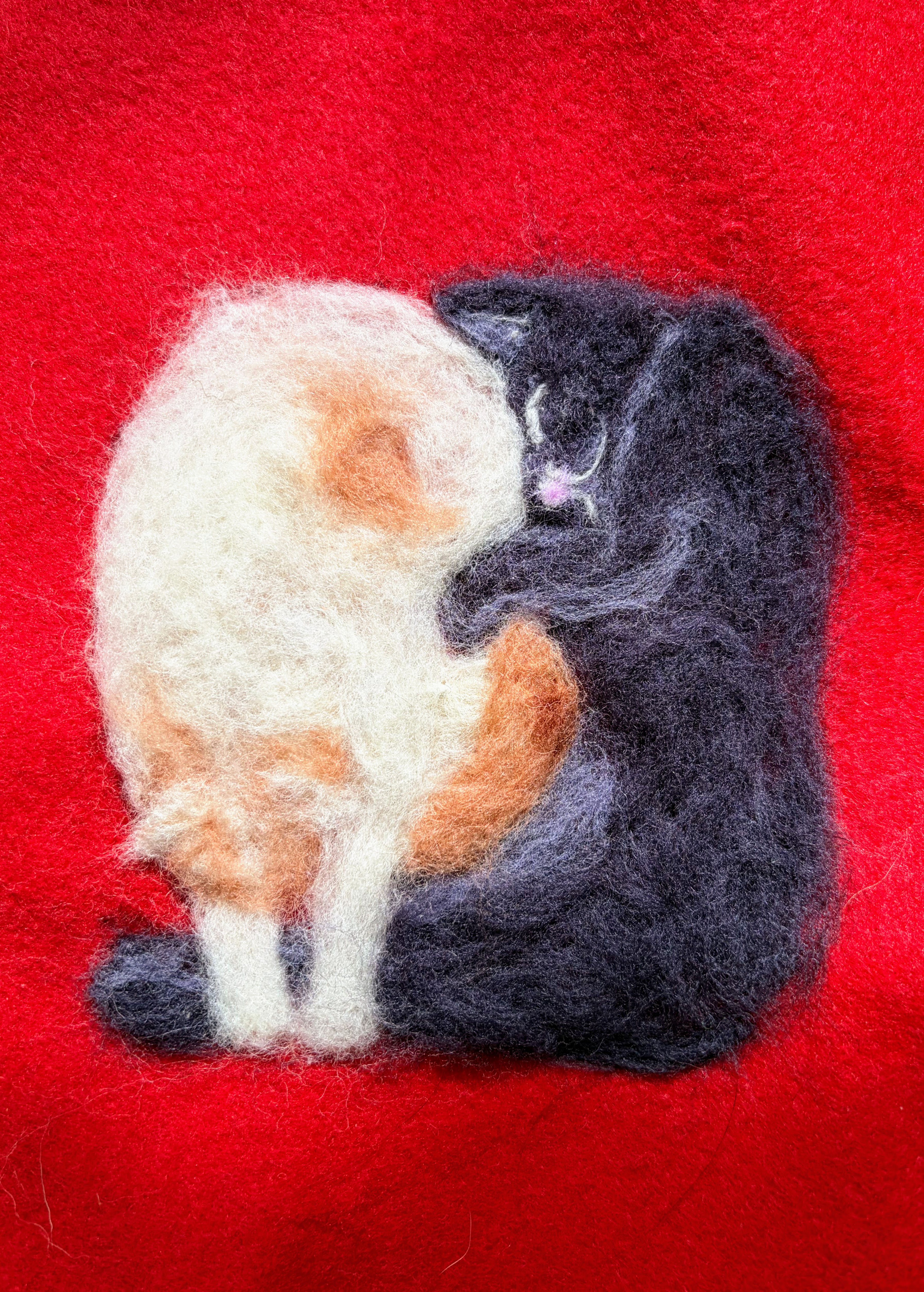 Ron Geva | ליבוד - חתולים אדום