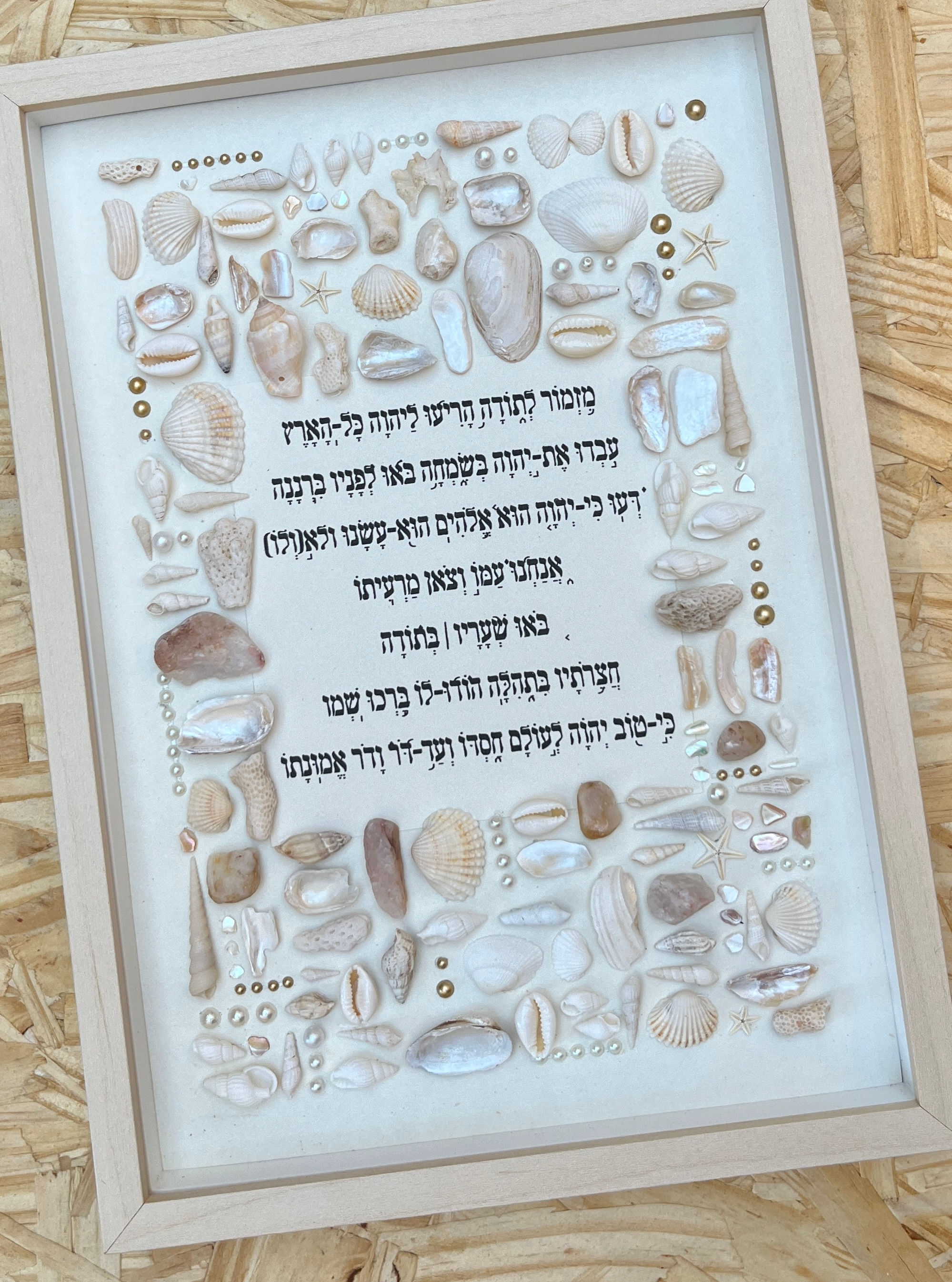 מזמור לתודה דגם שמנת - EB