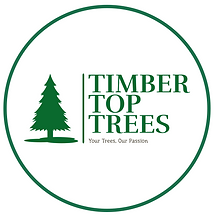 timber-top-trees-high-resolution-color-logo.png