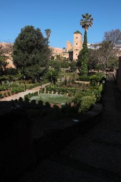 IMG_2357_edited