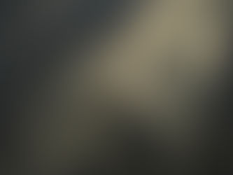 A nation cannot prevent harm if its workers’ compensation system cannot feel it.