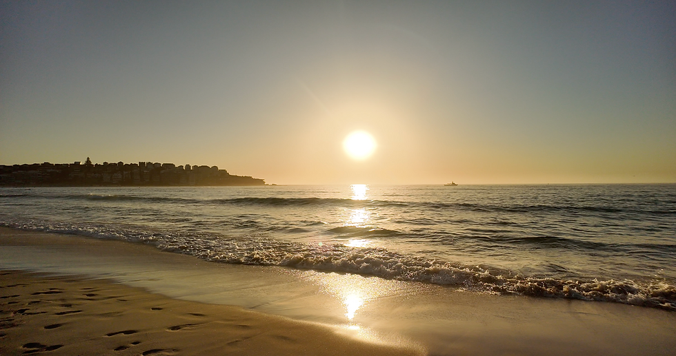 Screenshot 2025-12-19 at 11.39.24 AM.png