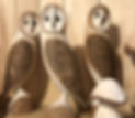 Home page 2.jpg