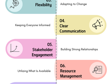 Achieving Resilience and Excellence in Project Management: A Case Study