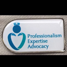 Nurses Badge.jpeg