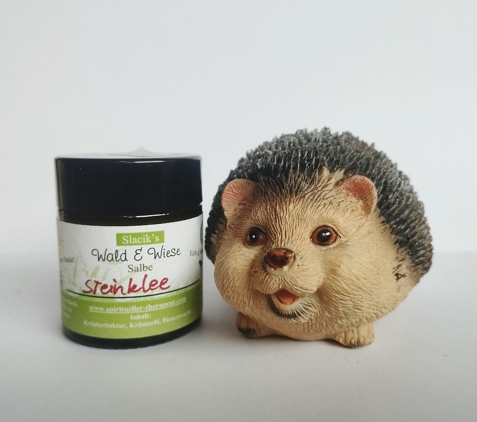 Miniaturbild: Steinklee Salbe