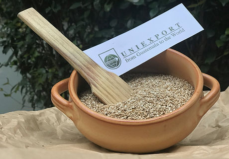 21641046_2247101871982485_60458014259609