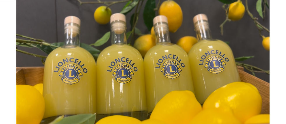 Lioncello doos (6 stuks)