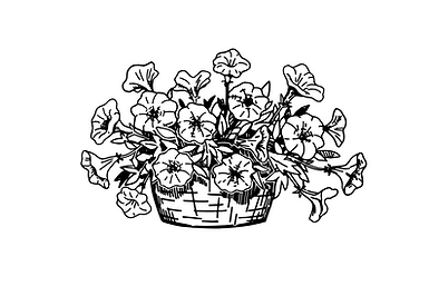 Untitled design (6).png