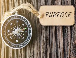 How do I find my Life's Purpose?
