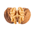 noci pelate / skinless walnut