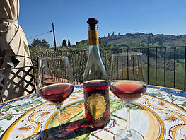 wine tasting with san gimignano views