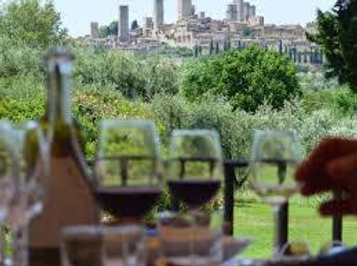 Wine Tasting with San Gimignano back ground